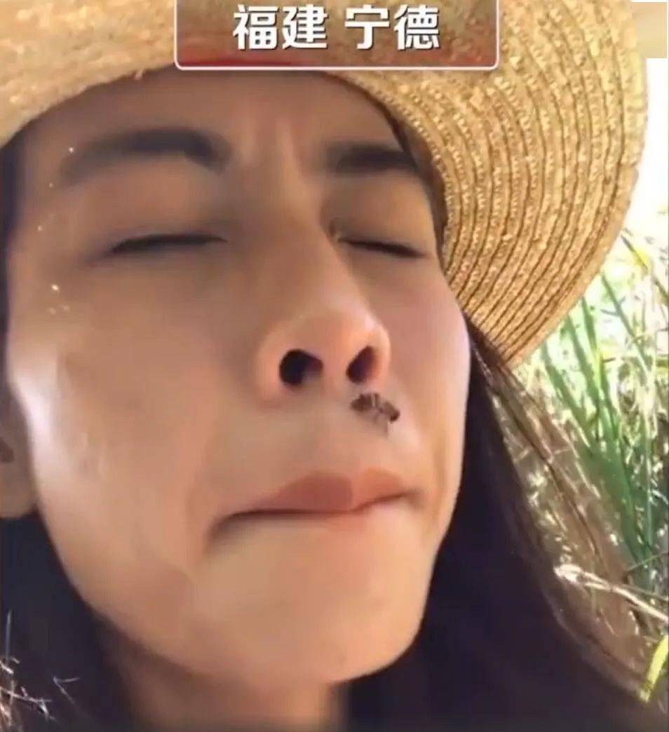 网红直播吃蜂巢故意被蛰,嘴唇比欧阳锋还要欧阳锋!