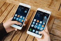 d950034e5f4646eca2830d3136509a16.gif