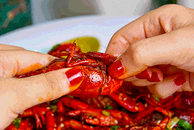 400_267gif 动态图 动图