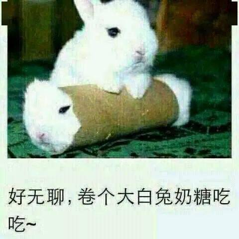 2eecf3feef9c42e3aff9b7b4b95c491f.jpeg