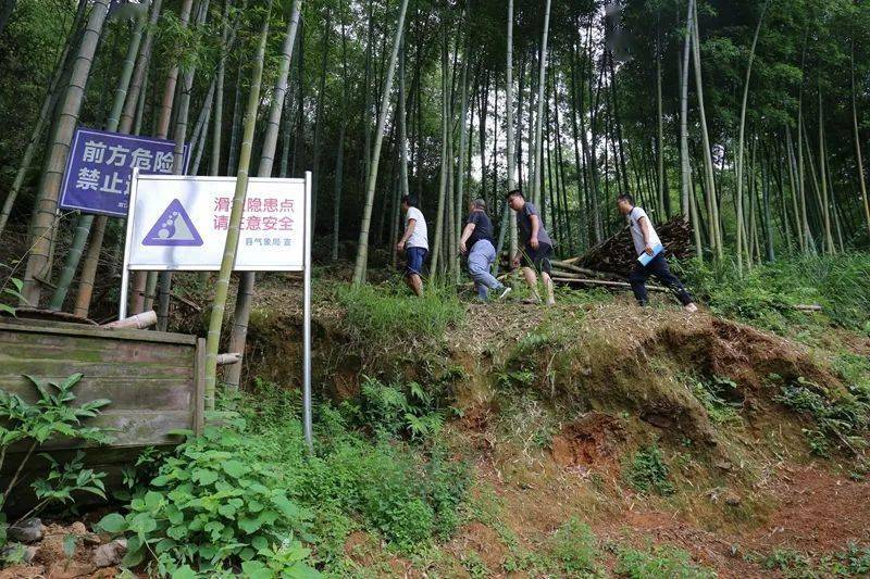 双江镇多少人口_人口普查