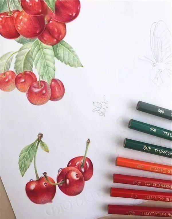 彩铅水果系列教程——樱桃与蝴蝶