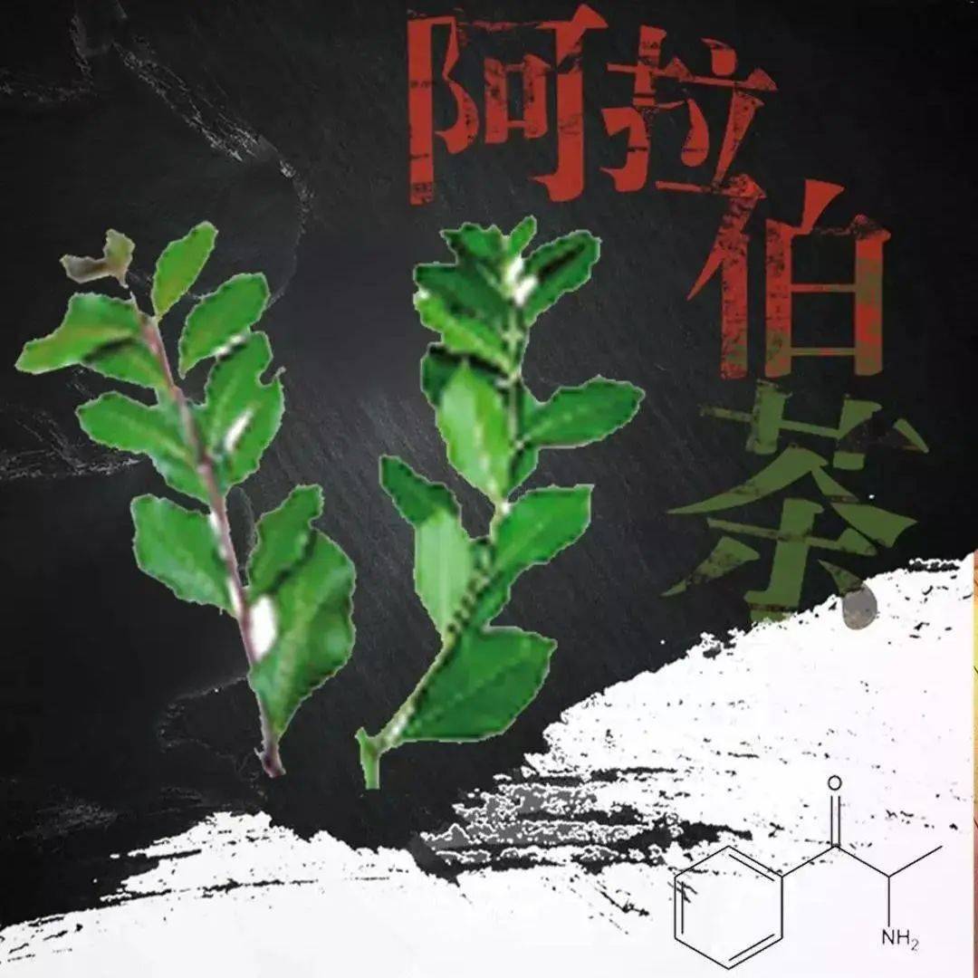 "阿拉伯茶"