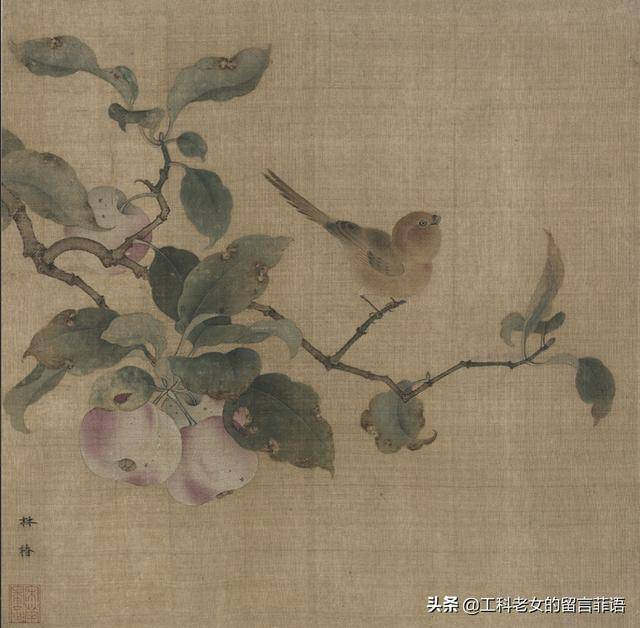 宋代花鸟画,就算我拿相机都难以企及的细腻,更别说意趣