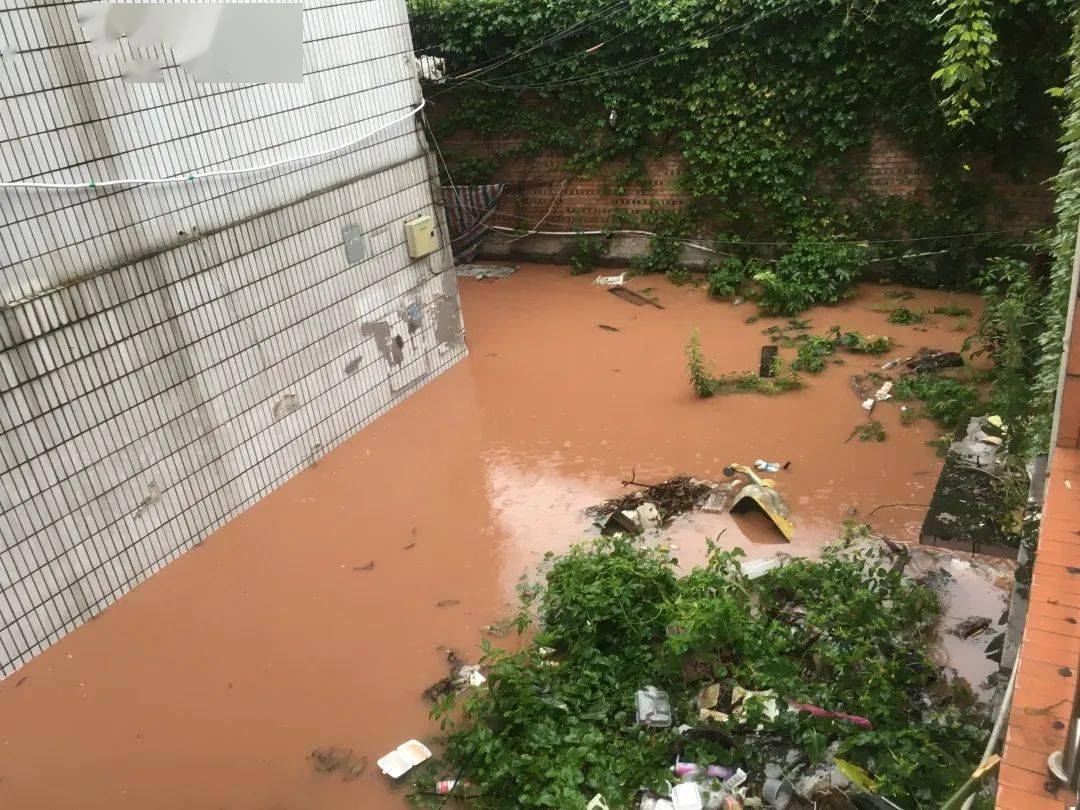 泸州遭遇强降雨袭击,大暴雨23站,紧急转移3025人,暂无人员伤亡_古蔺