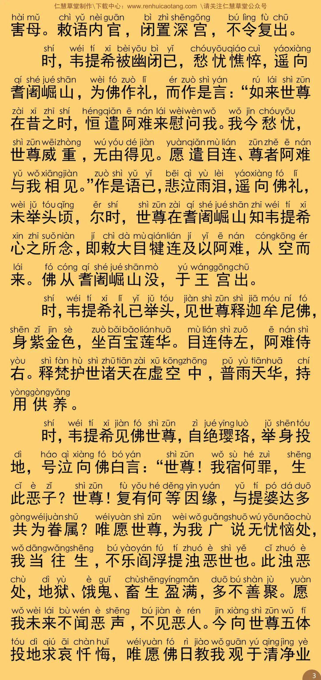 无量寿经简谱_无量寿经图片(2)