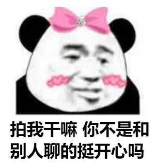 微信拍一拍表情包大全