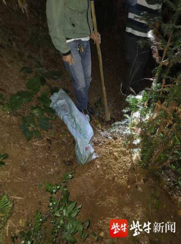 怎样装野猪 d3753122dbda4f62bc3156335dc45463.jpeg