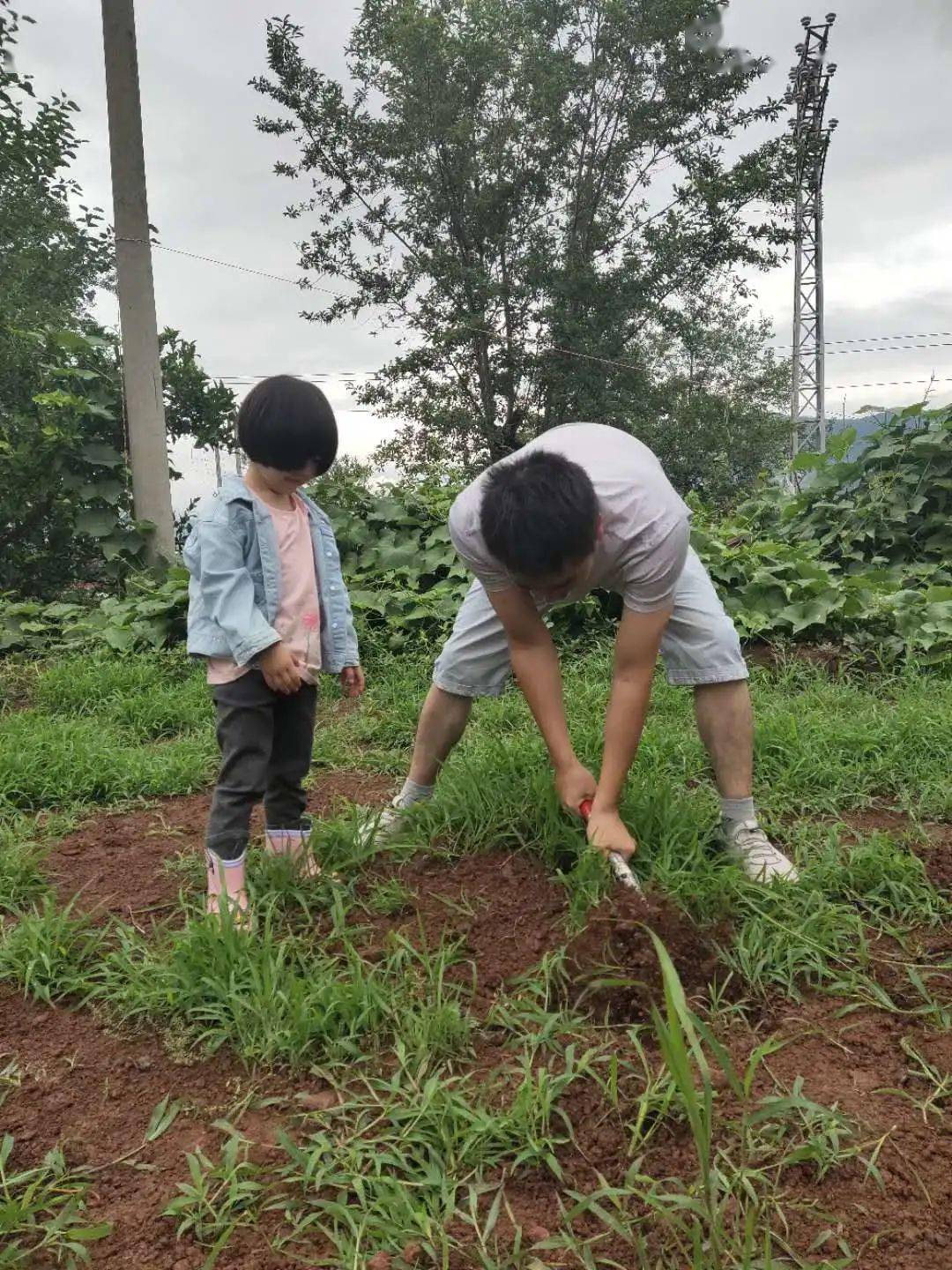 播种绿色浇灌梦想 黄冈幼儿园开展亲子种植活动!