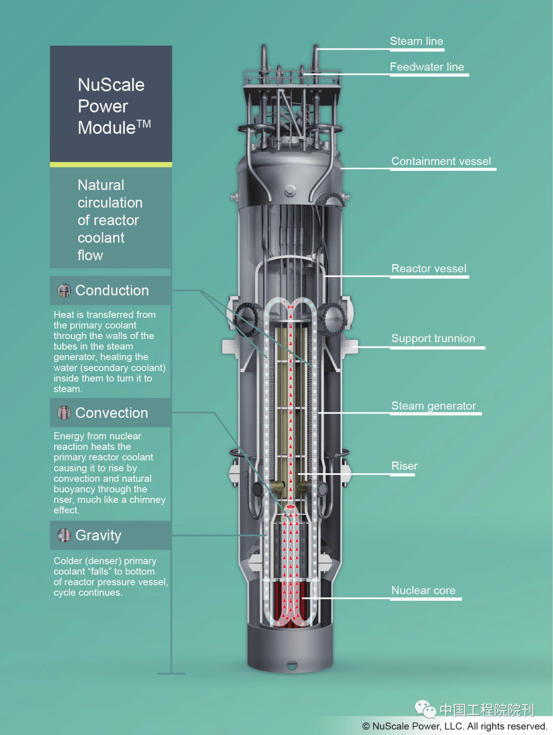 这些水将核反应堆的部分热量传递给蒸汽发生器中的水,然后堆芯开始