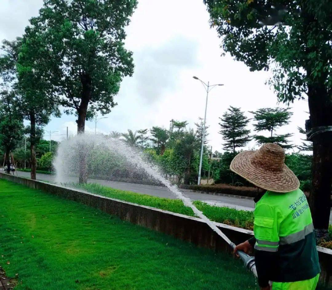 推进绿化精细化管理西樵对道路绿化进行浇水施肥