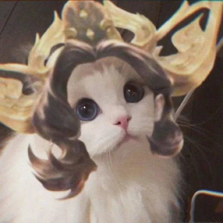《王者荣耀猫头》第4期:女神团喵咪接头头像,这么可爱