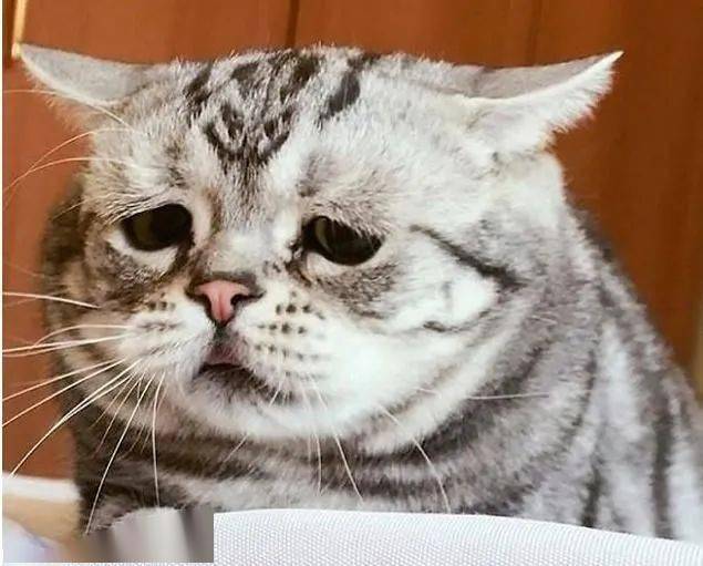 87岁大爷牙疼难忍,一气之下拿钳子自己拔了…差点要命