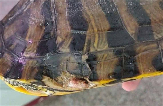 中国芯片十年龟速发展 ce4259e71e864a63a802bddfd6b1e485.jpeg