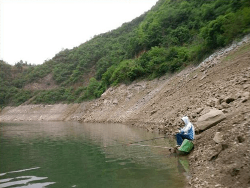 小鱼|不全是鱼不开口夏季天热气闷鱼难钓