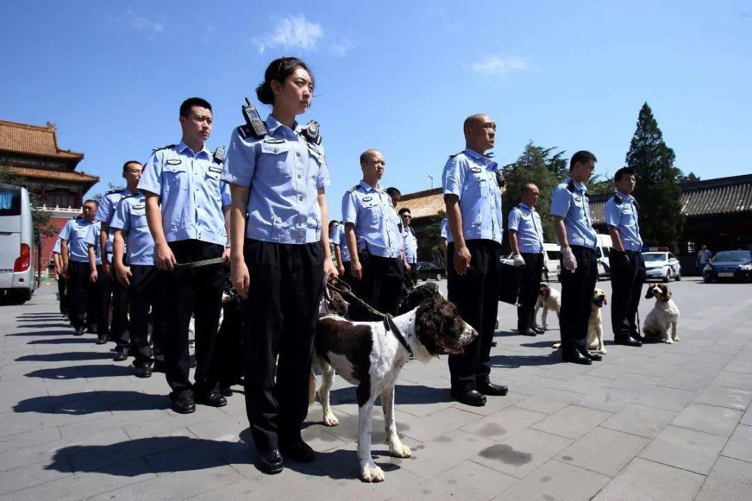 训犬爱好者可以报考的大学,中国刑事警察学院_警犬