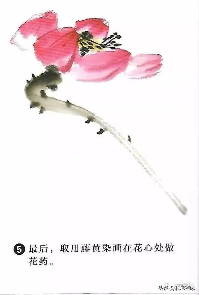 国画教程红荷花花头的画法步骤