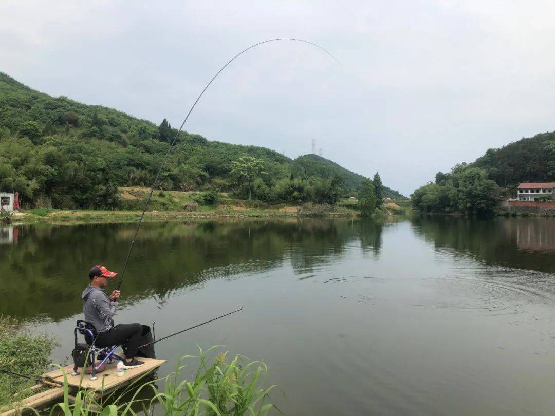 玩野钓的总看不起黑坑,盘点吐槽最多的5句话,其实多为