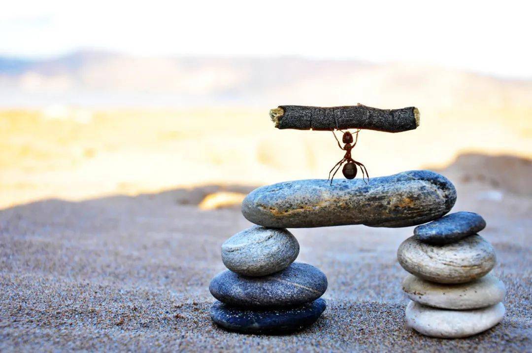 个股|再战3000点！A股数据密码：两大指标连创新高，“黑马”遭主力疯抢！