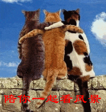 搞笑的聊天图片