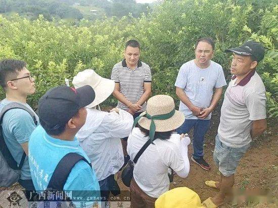 钦南区:贫困村群众靠"山"吃上"旅游饭"