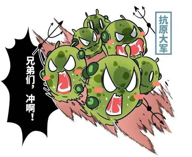 第一道防线被突破还有第二道防线——吞噬细胞和体液中的杀菌物质它们