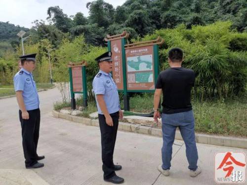 景区|游客偷挖竹笋罚款万元？柳州村民定下“天价罚金”
