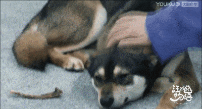 补救|原创张雨剑过于耿直吧？当面说范丞丞年纪轻资源好，尴尬得贾玲都补救无能