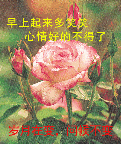 7月6日最漂亮早上好动态表情图片大全,早晨好动图美图