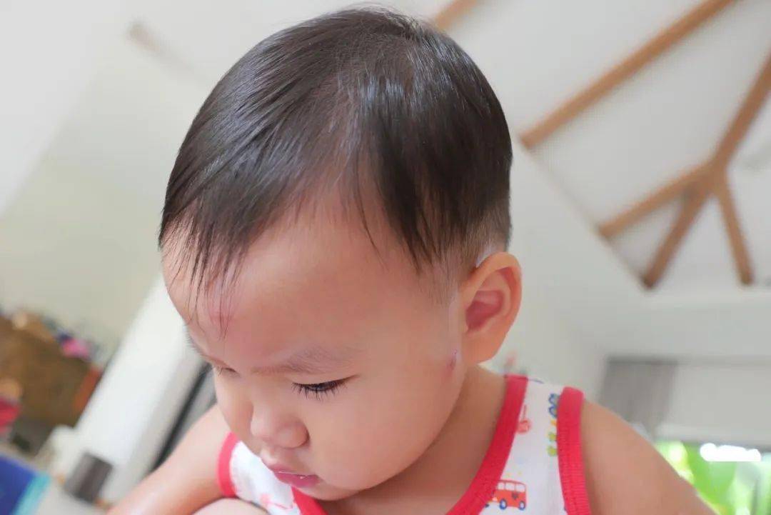 守则|儿童夏日安全守则