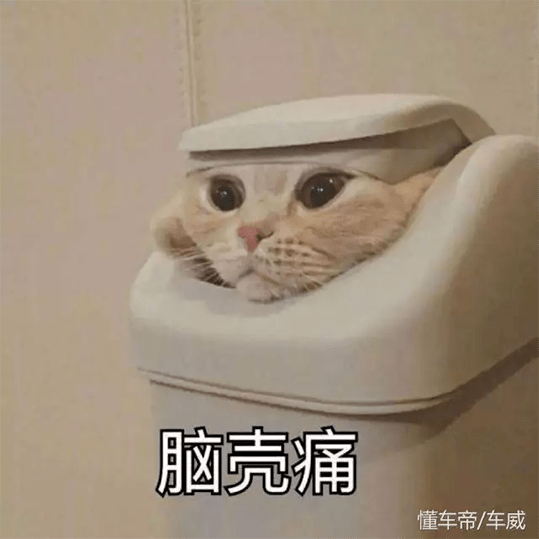 猫哭起来有多丑?长见识了.