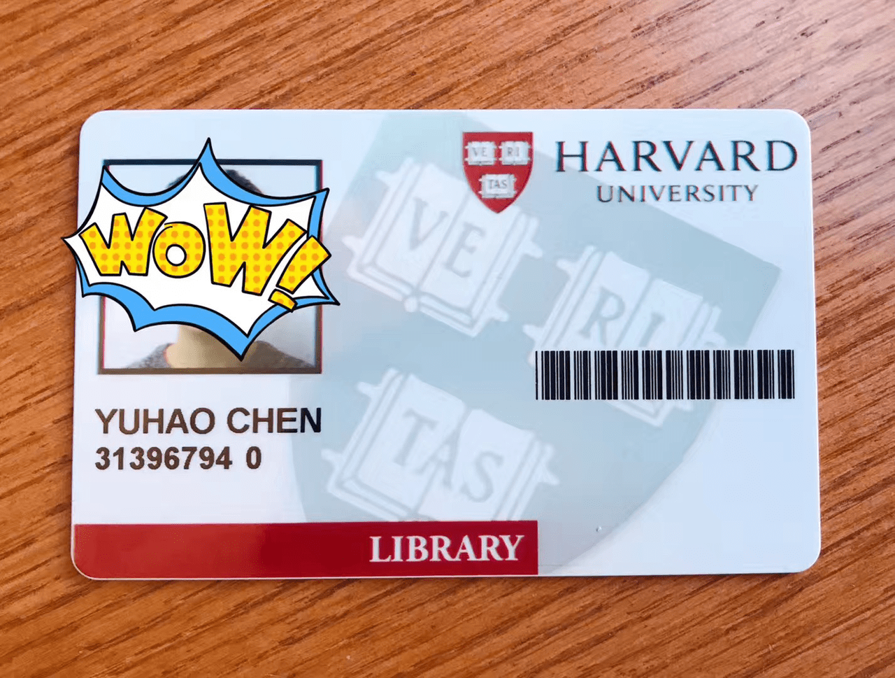 在 mit,你甚至可以蹭到一张哈佛大学图书馆的卡 独立交流的劣势