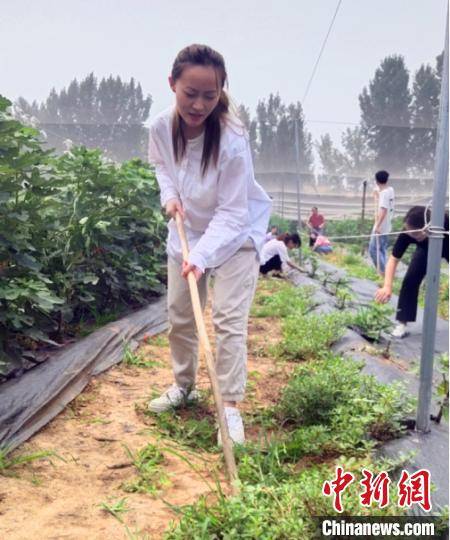 大学生|清华等8学子入村实践扶贫助学：望贫困生用学习改变命运