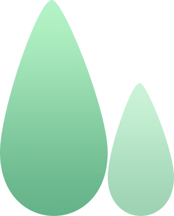 花茶|喝什么茶好？夏天