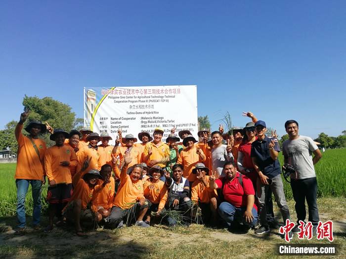 项目|中国援菲农技中心三期项目复工九成