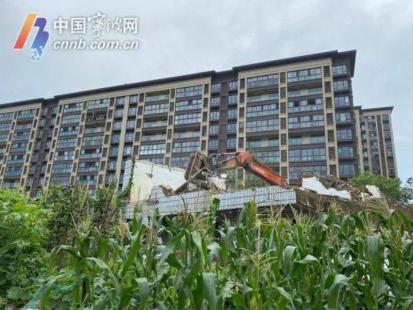 地块|拖了七八年一直未签约搬迁，海曙石碶街道依法强制腾空7栋老旧房屋