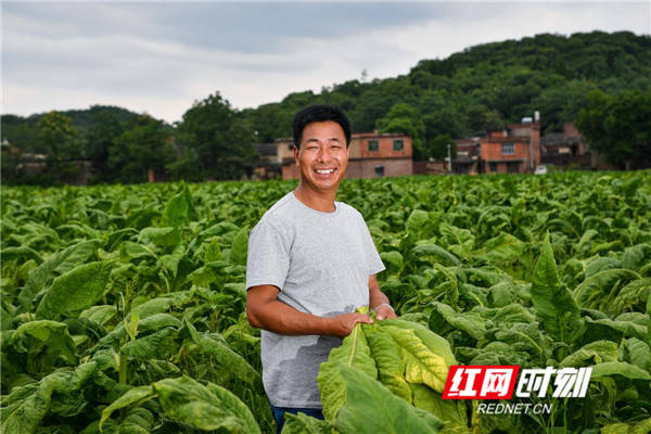 何来喜|幸福的炊烟丨何来喜：从汗水里尝到生活的甜