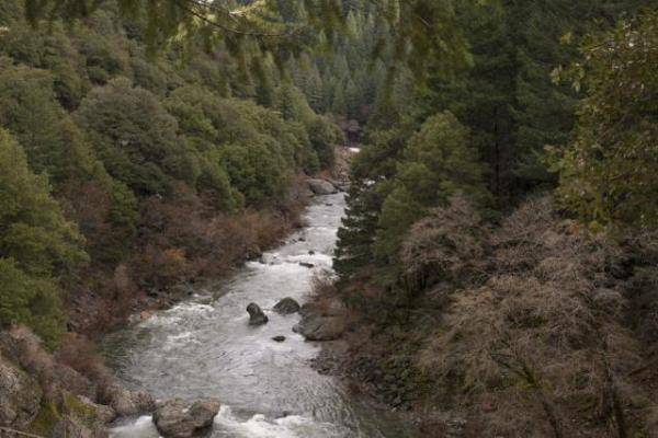露营|露营时父亲遭枪杀，美国15岁男孩野外生存30小时
