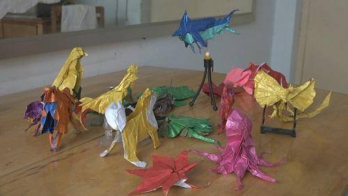 刘煜坤|烟台莱州：折纸少年刘煜坤