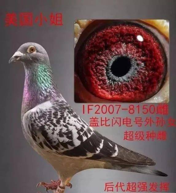f9f117125d344feda8a8d40bce064a05.jpeg