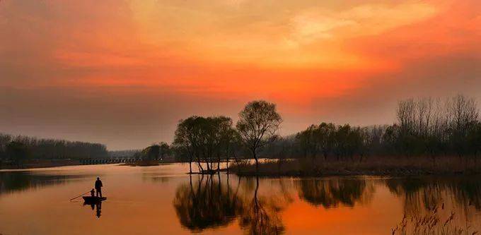 美景山东丨滕州红荷湿地:中国最大的荷花观赏地