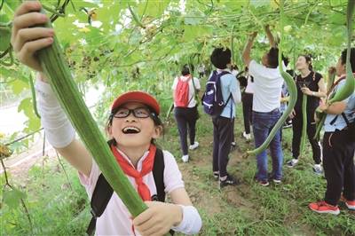 7月8日上午,金陵中学河西分校的"大鼻子"校车载着小学部300多名六