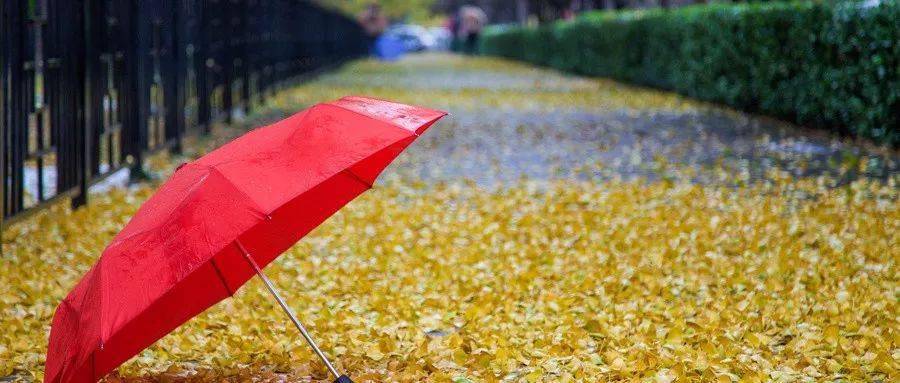 跟着雨伞学做人,跟着雨靴学做事(深度好文)_为你
