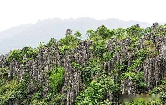 【重磅整理】关于岩溶地貌最全的整理,15大典型岩溶地貌景观给你找全