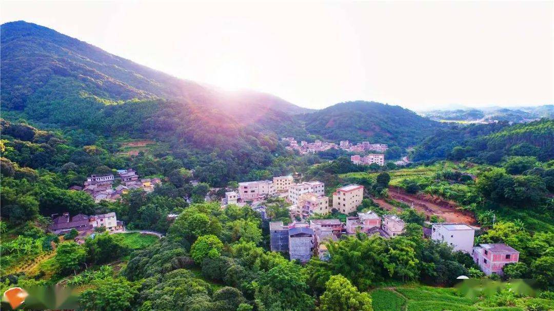 浦北这条村变身网红打卡地,美如"小桃源"你去过吗?