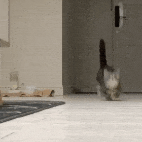 每晚 21:00 打开手机 收藏表情 表情来源网络与粉丝投稿 侵删致歉