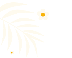 300_243