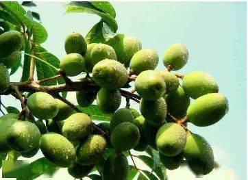 夏日|黄晓明狂流汗不脱妆，杨超越的“落泪女团妆”上热搜！一线女星背后百万化妆师的夏日最强无暇底妆教程送上！