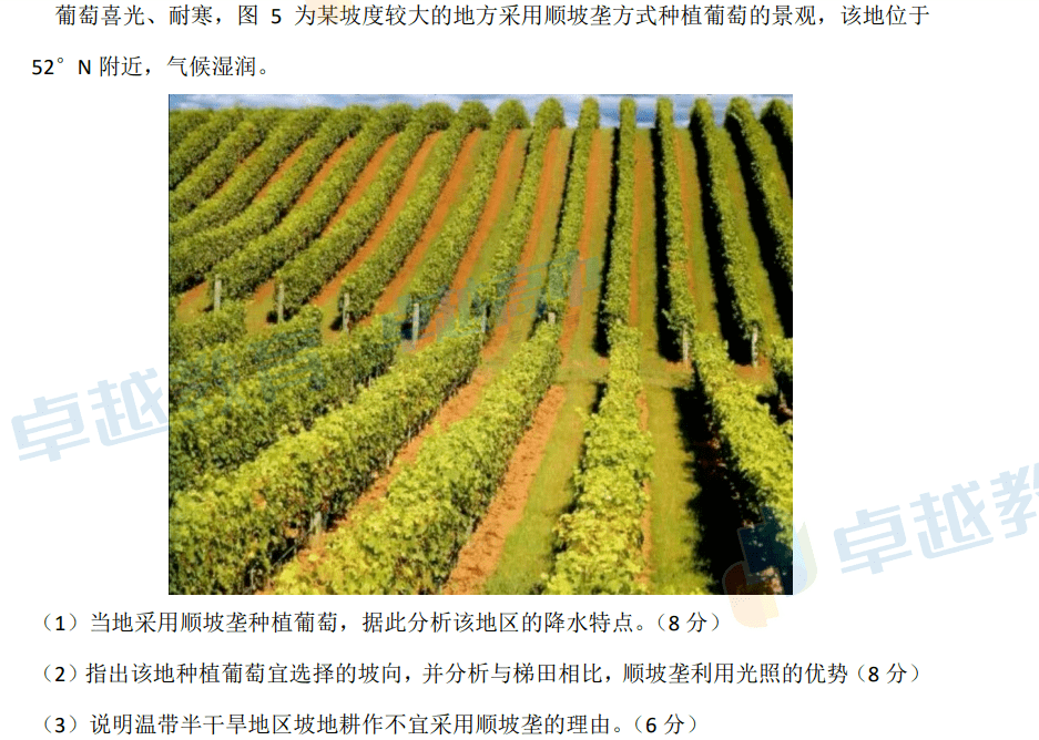 语文|高考结束，这些题目占据了C位热搜！来看看你会答吗？