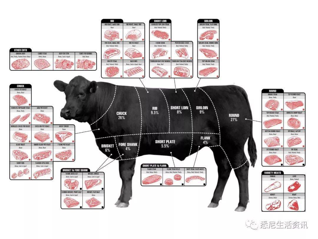 到超市或者菜市场买牛肉时, 是否总会被那些五花八门的牛肉名称弄迷糊